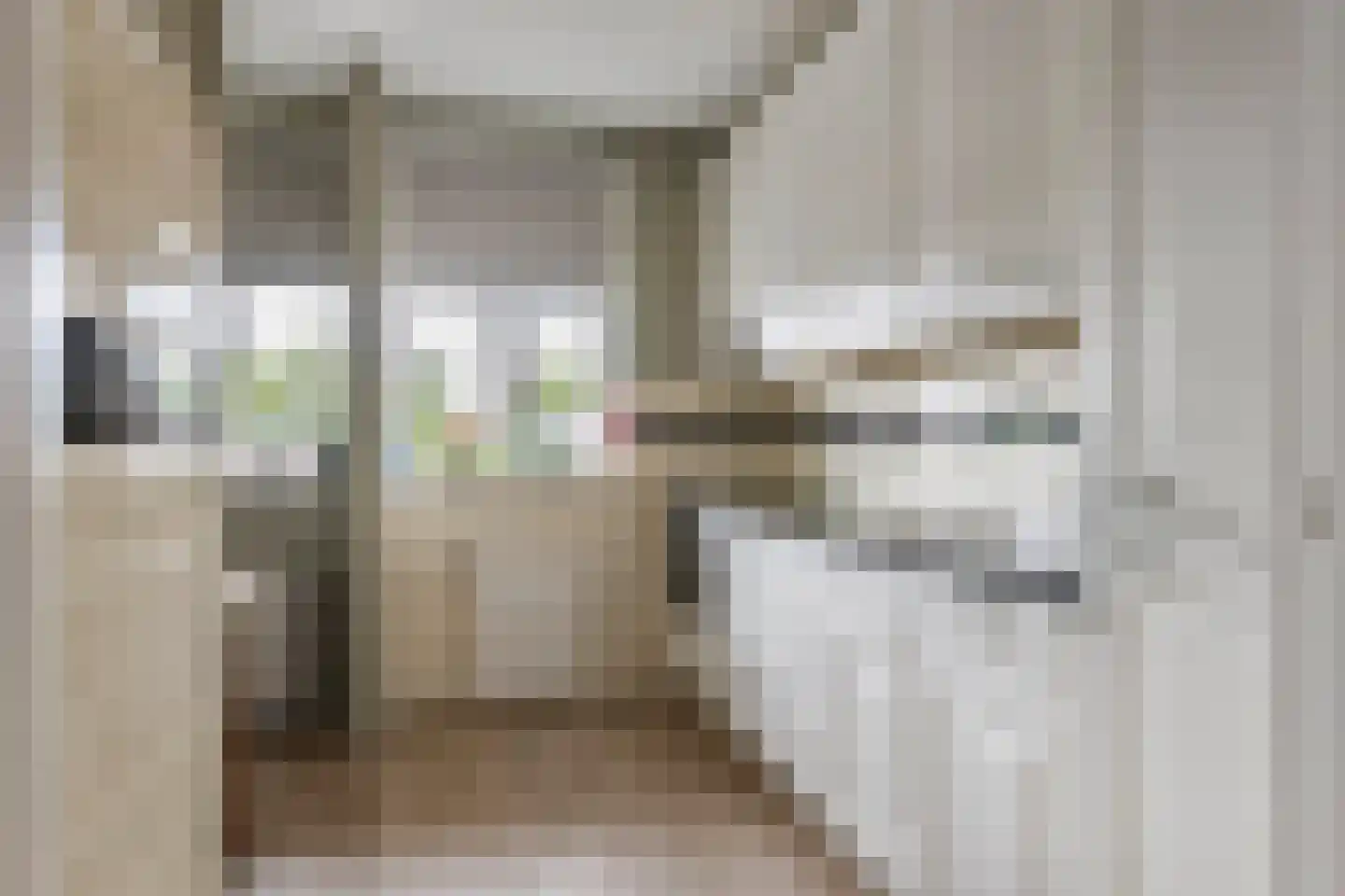 't Hooghuis 21 Geldermalsen thumbnail 10