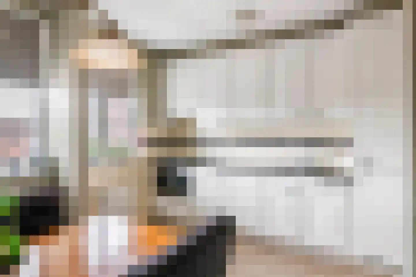 't Hooghuis 21 Geldermalsen thumbnail 11