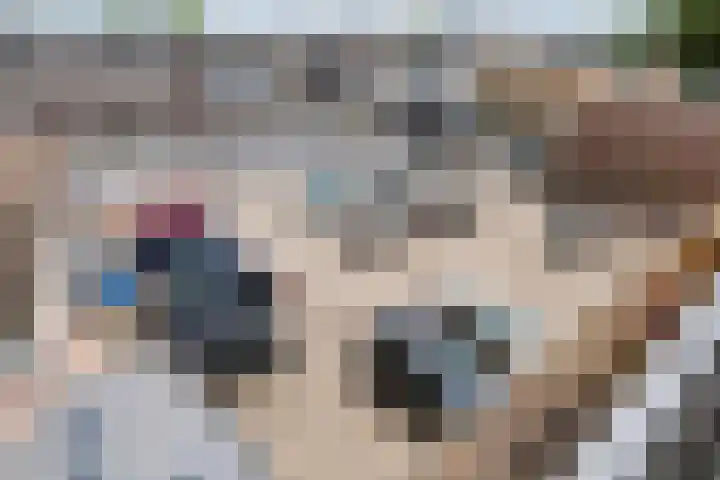 't Hooghuis 21 Geldermalsen thumbnail 11