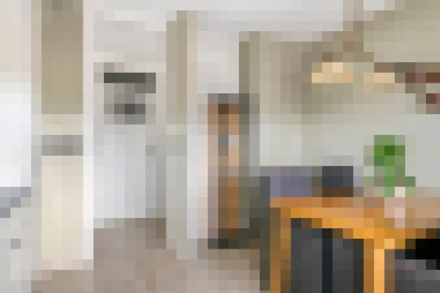 't Hooghuis 21 Geldermalsen thumbnail 12