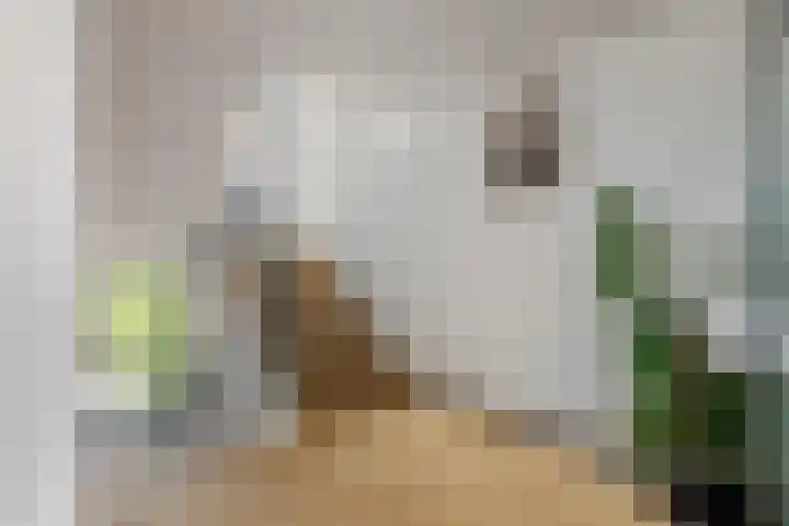 't Hooghuis 21 Geldermalsen thumbnail 13