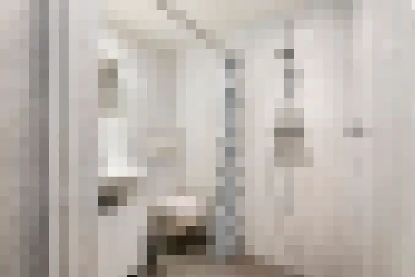 't Hooghuis 21 Geldermalsen thumbnail 13