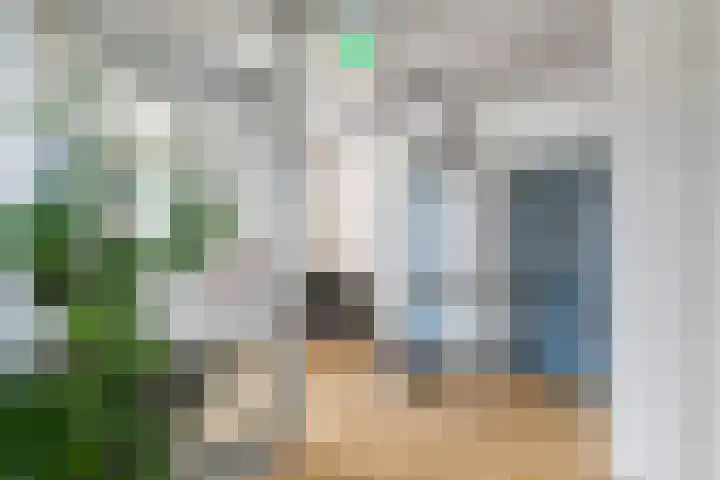 't Hooghuis 21 Geldermalsen thumbnail 14
