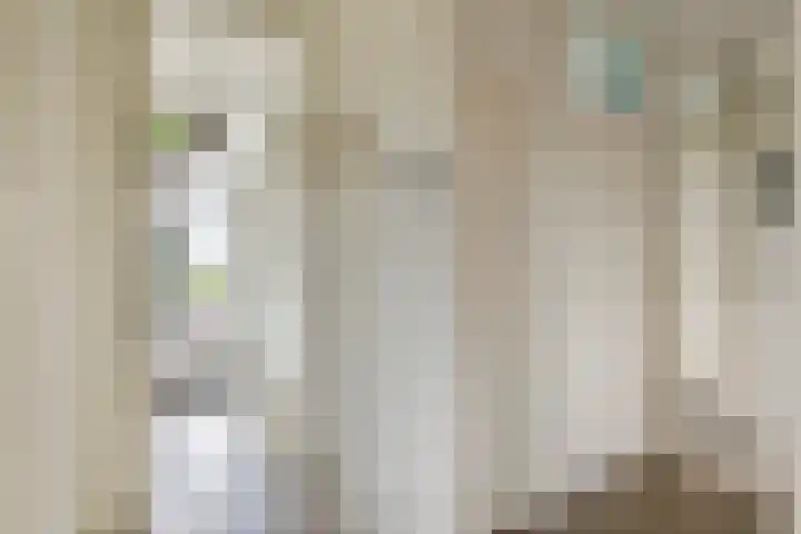 't Hooghuis 21 Geldermalsen thumbnail 15