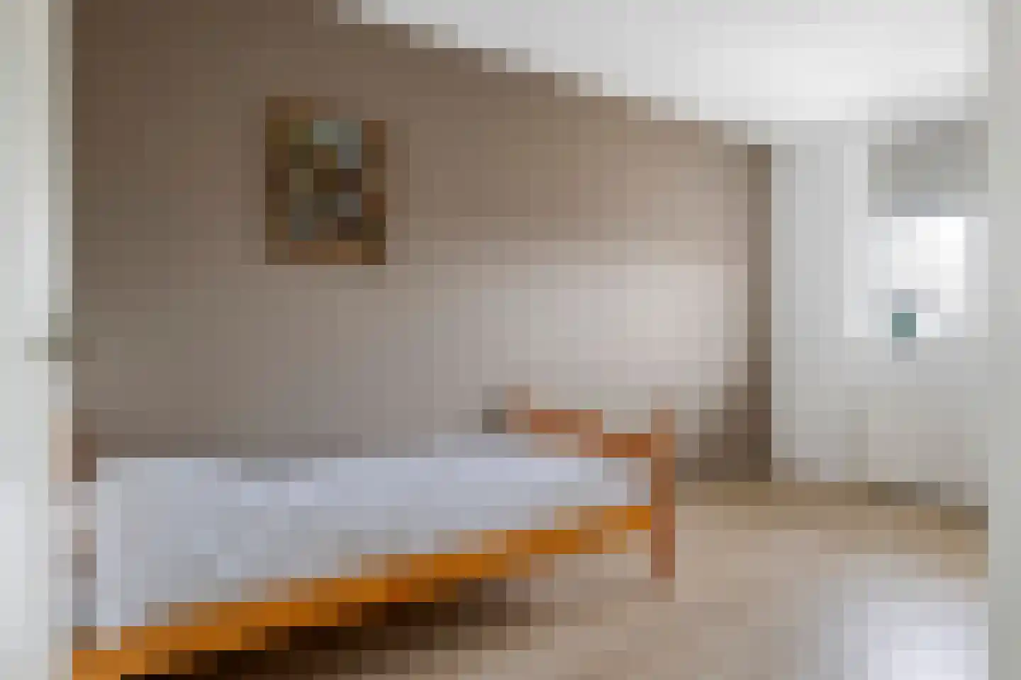 't Hooghuis 21 Geldermalsen thumbnail 16