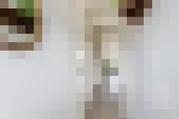 't Hooghuis 21 Geldermalsen thumbnail 16