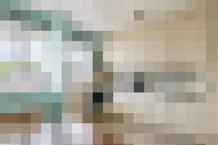 't Hooghuis 21 Geldermalsen thumbnail 19