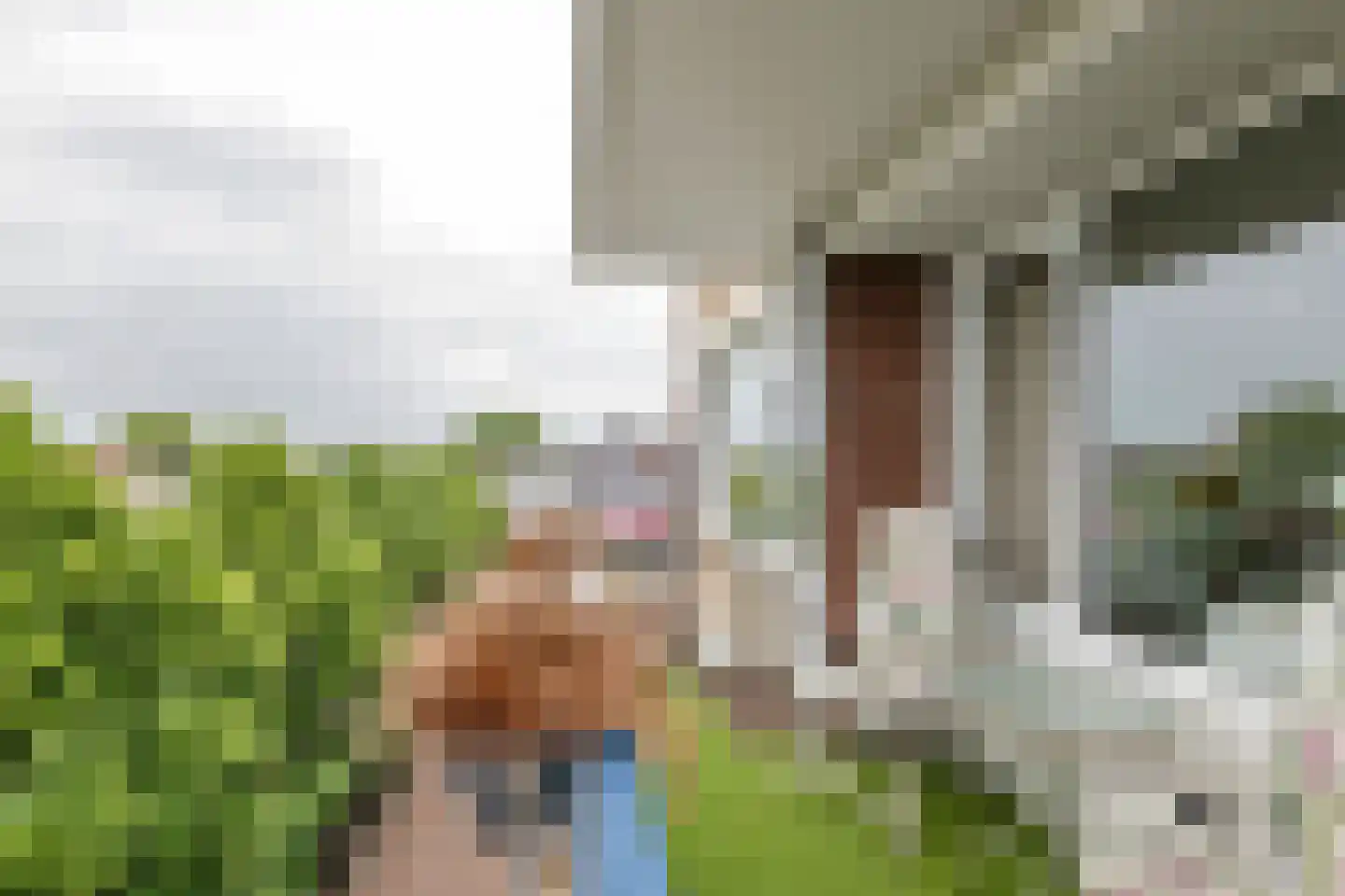 't Hooghuis 21 Geldermalsen thumbnail 20