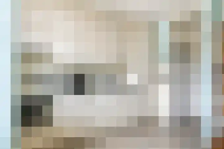 't Hooghuis 21 Geldermalsen thumbnail 21