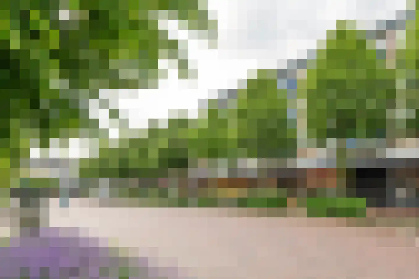 't Hooghuis 21 Geldermalsen thumbnail 21