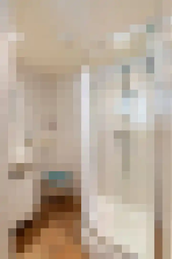 't Hooghuis 21 Geldermalsen thumbnail 23