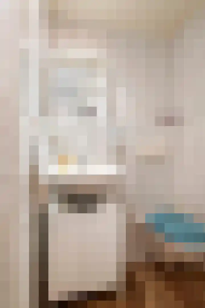 't Hooghuis 21 Geldermalsen thumbnail 24