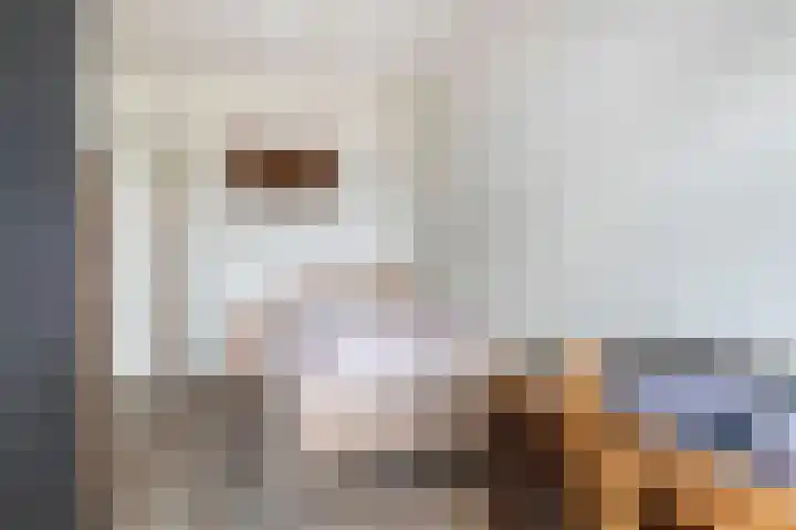 't Hooghuis 21 Geldermalsen thumbnail 26