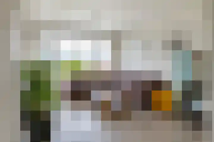 't Hooghuis 21 Geldermalsen thumbnail 27