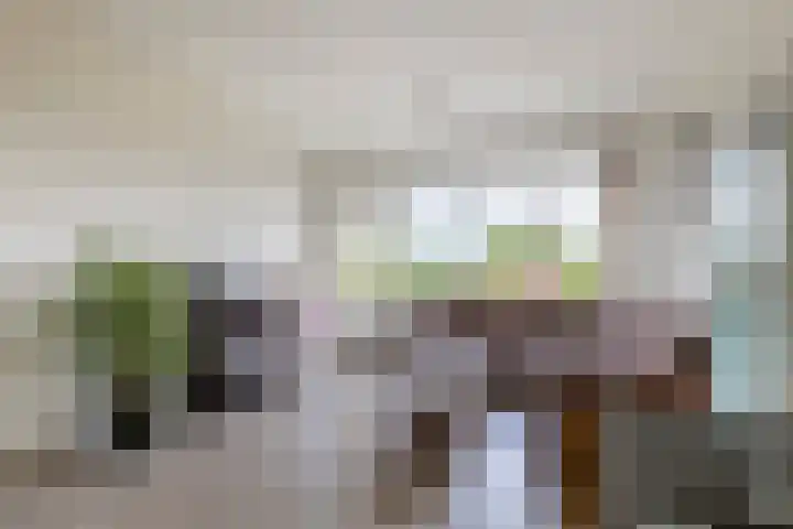 't Hooghuis 21 Geldermalsen thumbnail 29