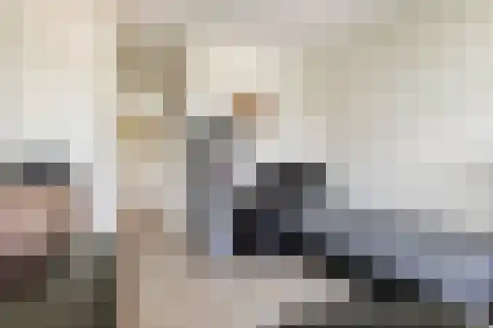 't Hooghuis 21 Geldermalsen thumbnail 33