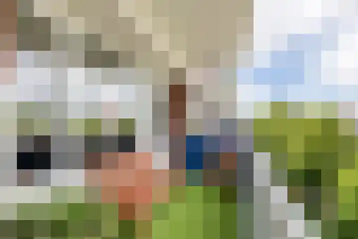 't Hooghuis 21 Geldermalsen thumbnail 34