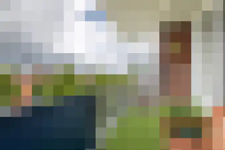 't Hooghuis 21 Geldermalsen thumbnail 35