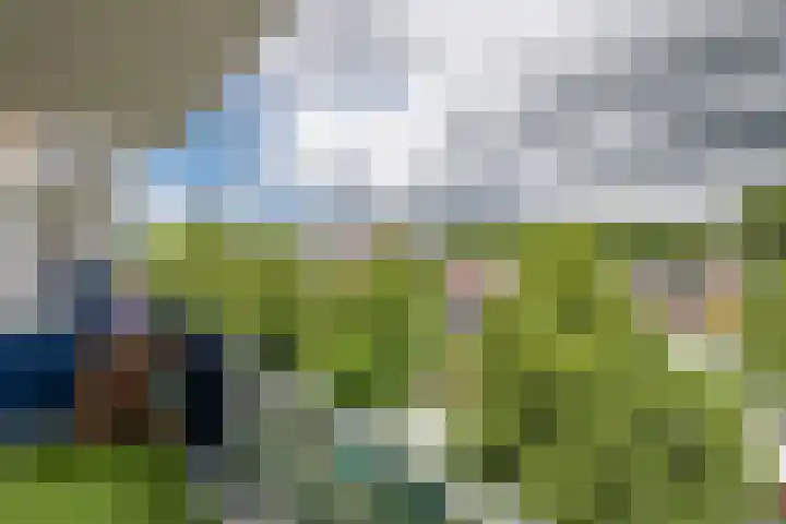 't Hooghuis 21 Geldermalsen thumbnail 36