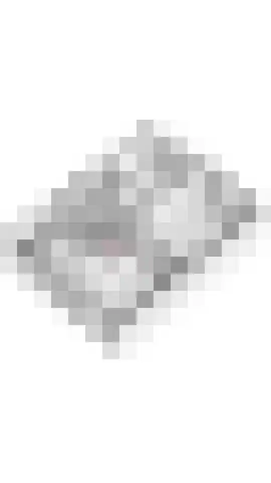 't Hooghuis 21 Geldermalsen thumbnail 39