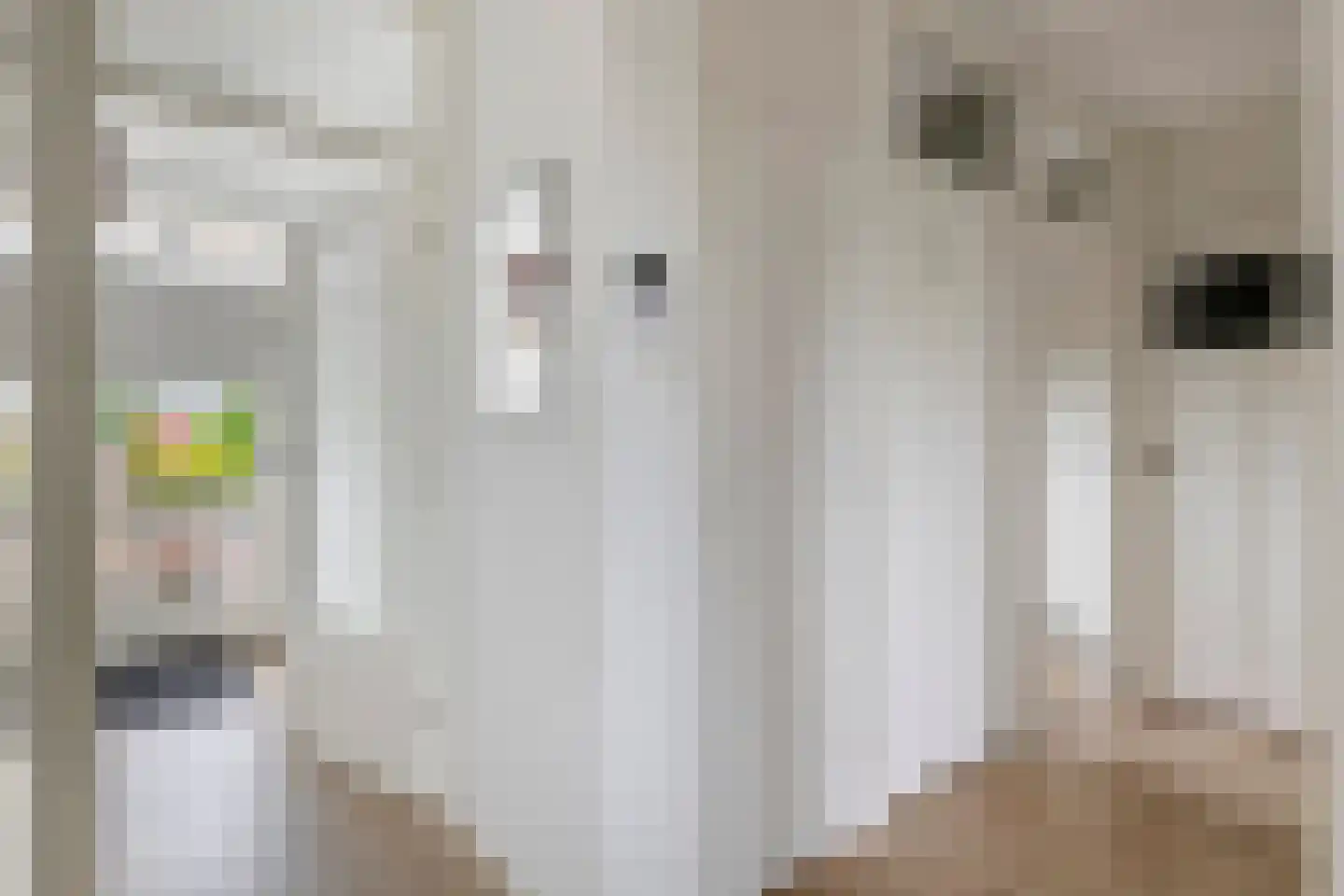 't Hooghuis 21 Geldermalsen thumbnail 4