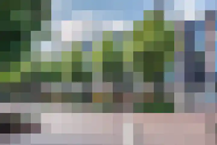 't Hooghuis 21 Geldermalsen thumbnail 42