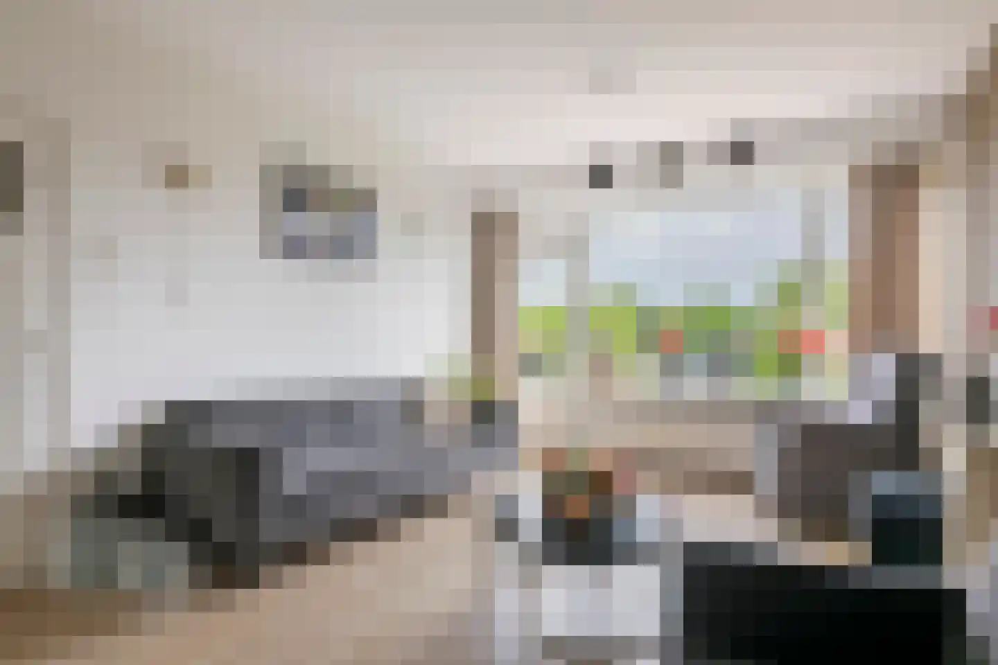 't Hooghuis 21 Geldermalsen thumbnail 5