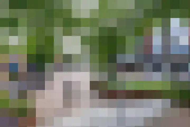 't Hooghuis 21 Geldermalsen thumbnail 5