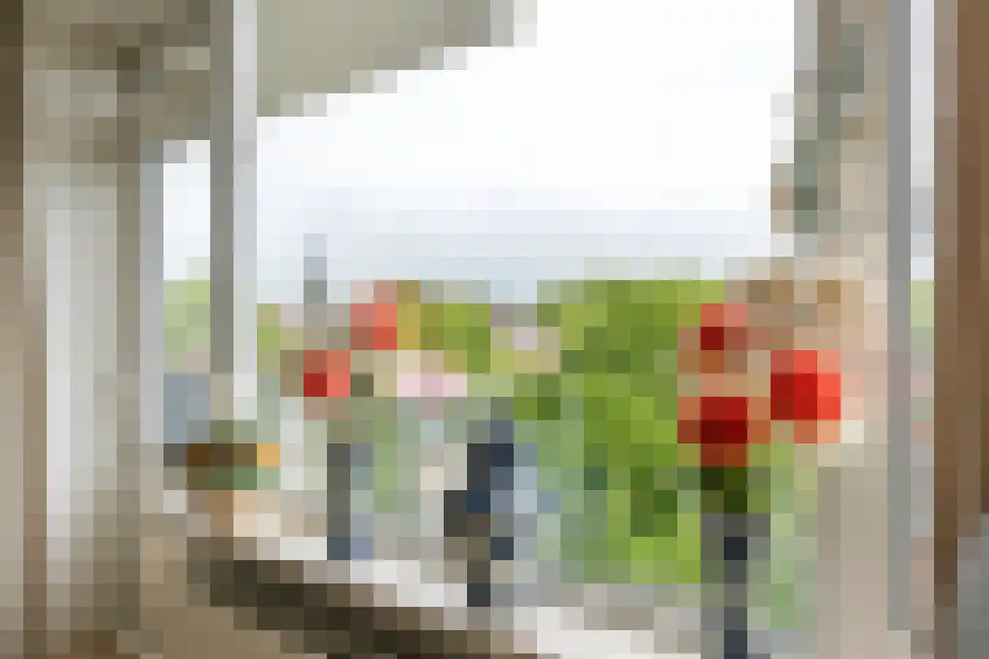 't Hooghuis 21 Geldermalsen thumbnail 6