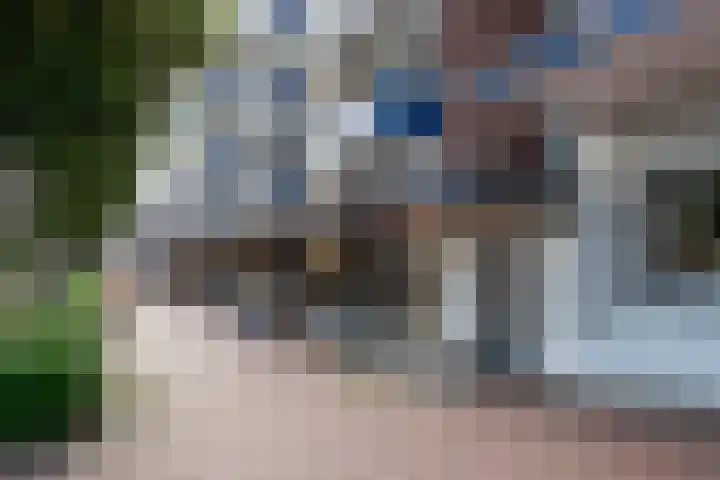 't Hooghuis 21 Geldermalsen thumbnail 6