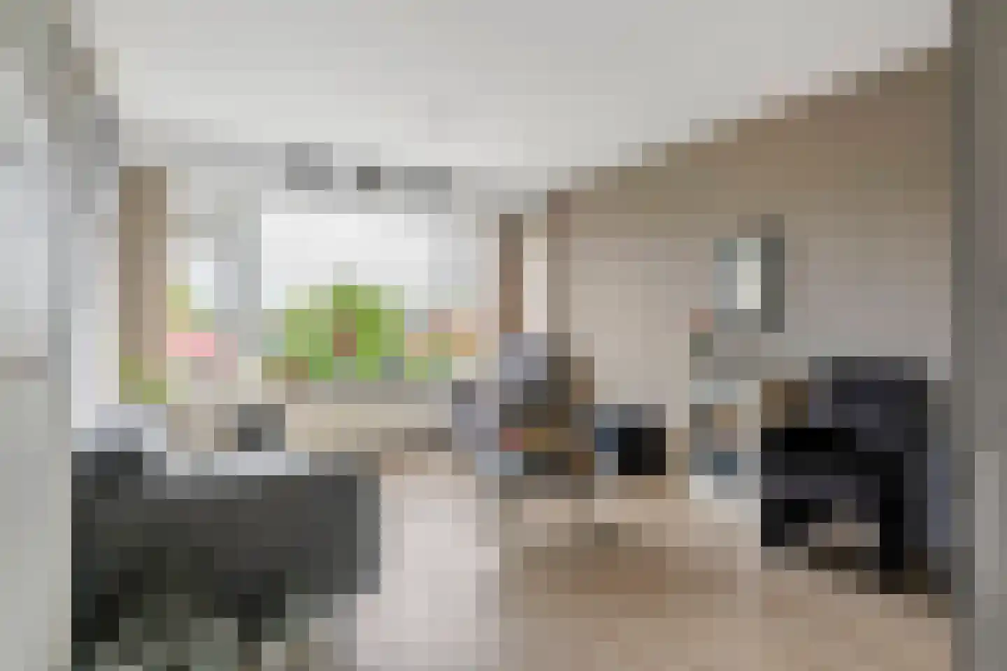 't Hooghuis 21 Geldermalsen thumbnail 7