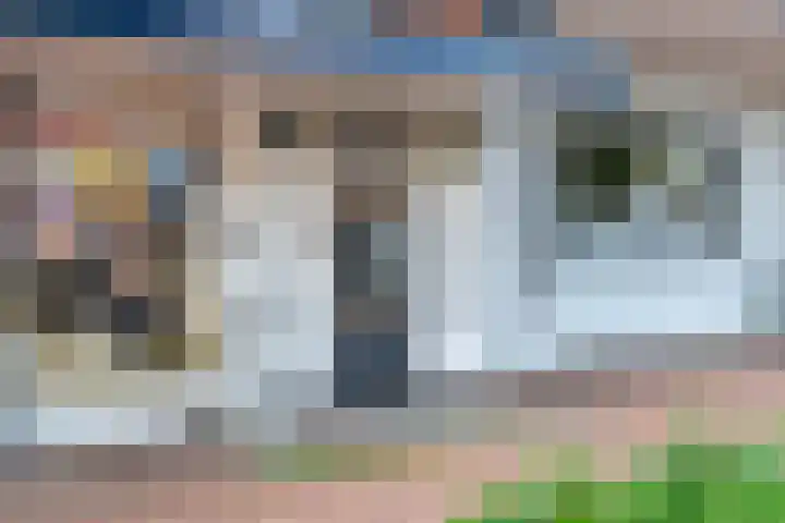 't Hooghuis 21 Geldermalsen thumbnail 7