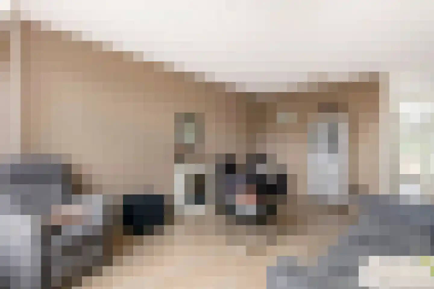 't Hooghuis 21 Geldermalsen thumbnail 8