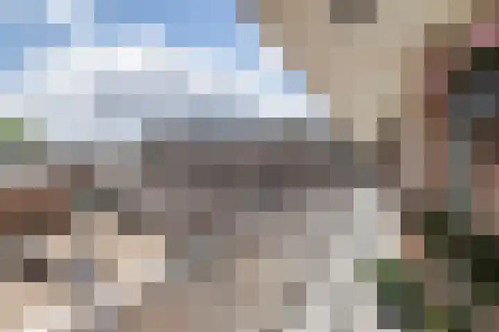 't Hooghuis 21 Geldermalsen thumbnail 8