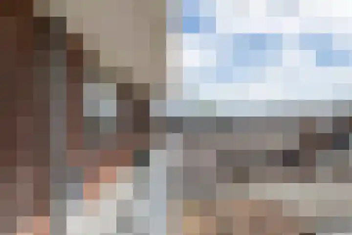 't Hooghuis 21 Geldermalsen thumbnail 9
