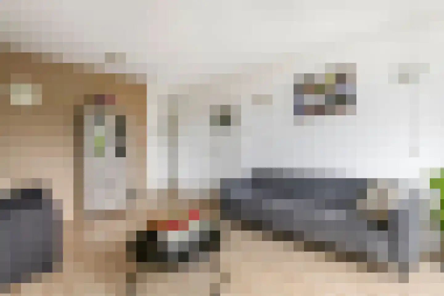 't Hooghuis 21 Geldermalsen thumbnail 9