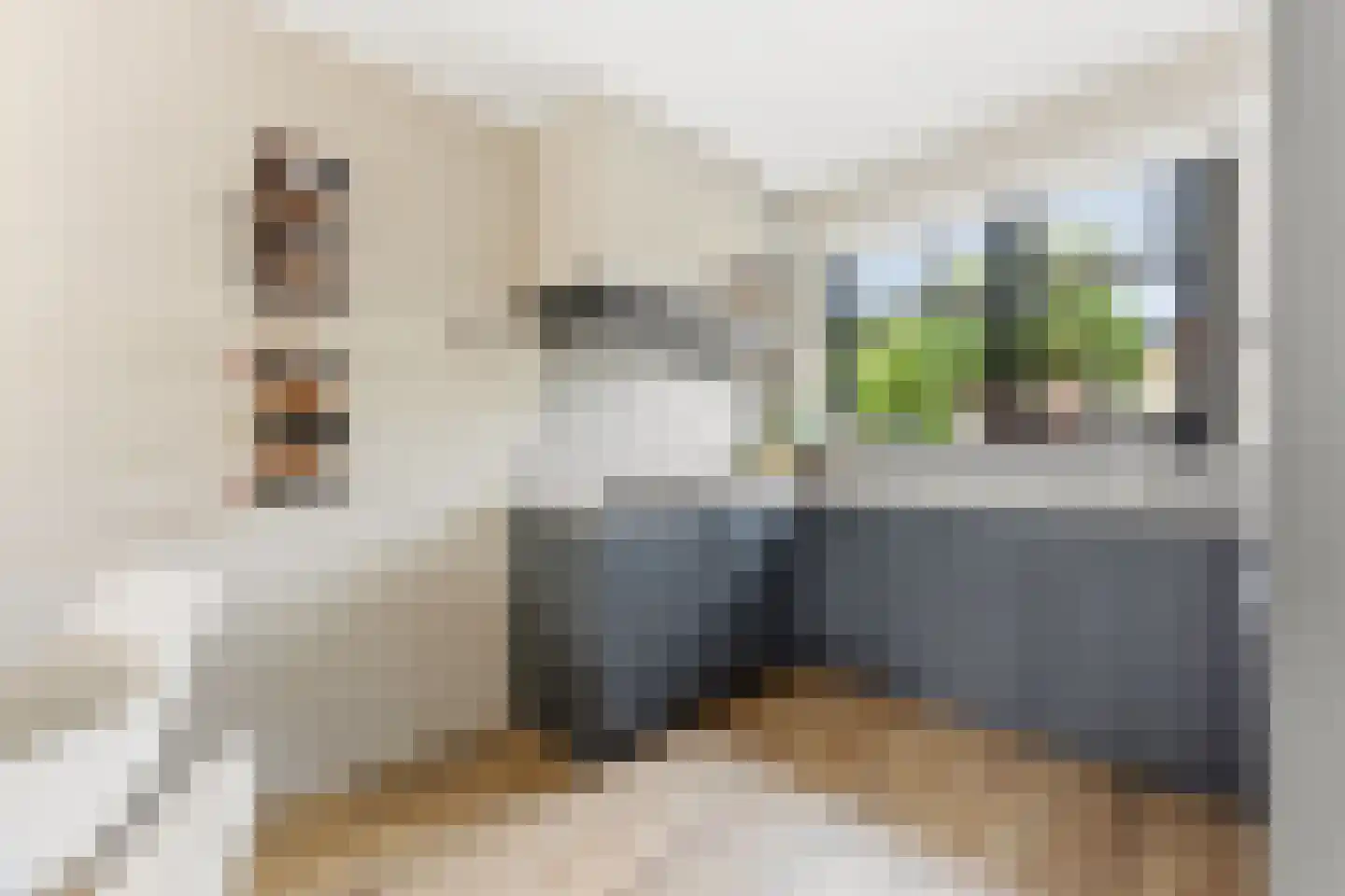 't Hoogt 16 Strijen thumbnail 17