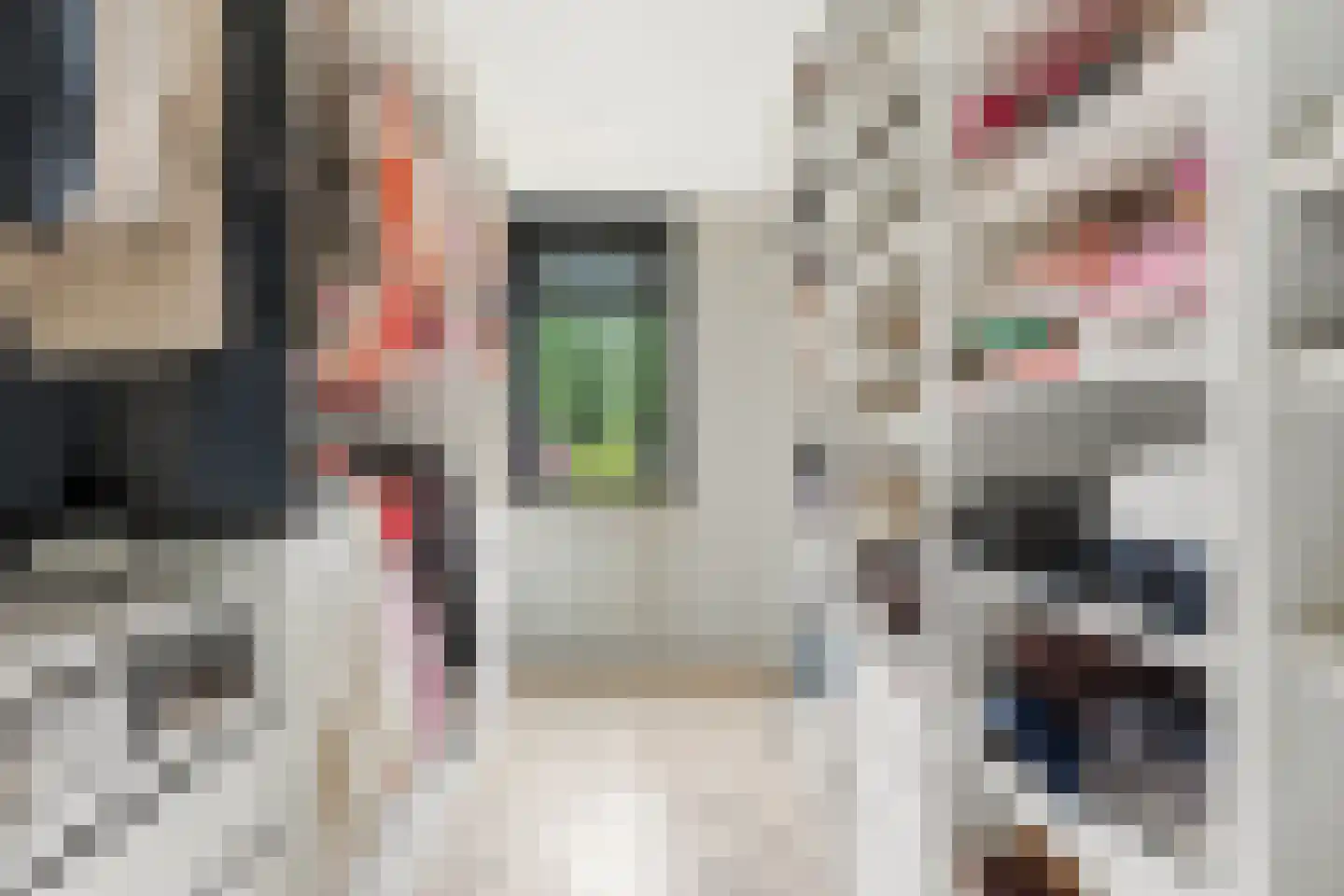't Hoogt 16 Strijen thumbnail 25