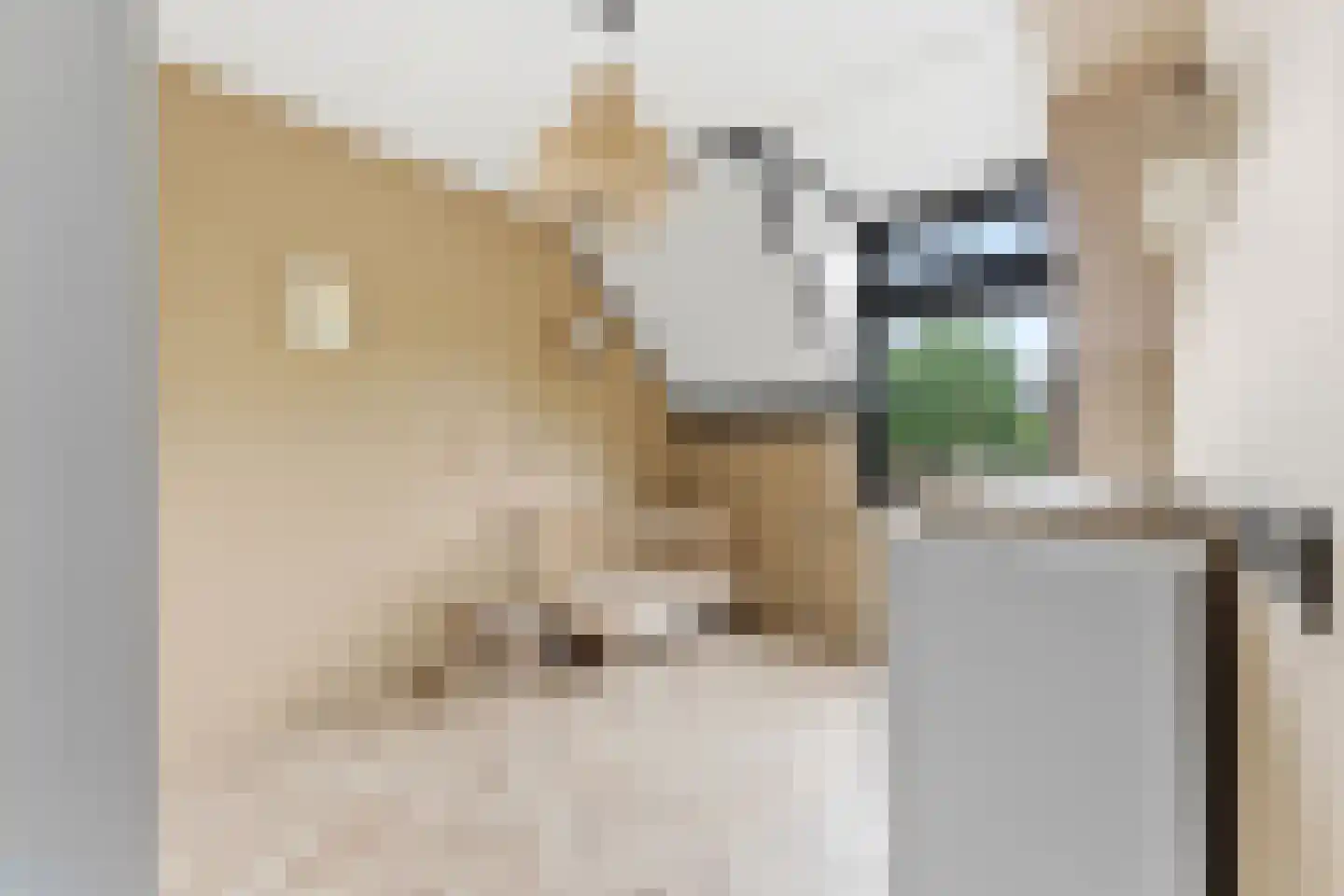 't Hoogt 16 Strijen thumbnail 27