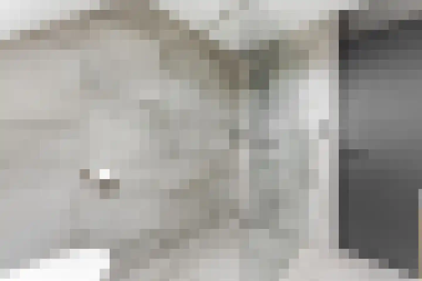 't Hoogt 16 Strijen thumbnail 31