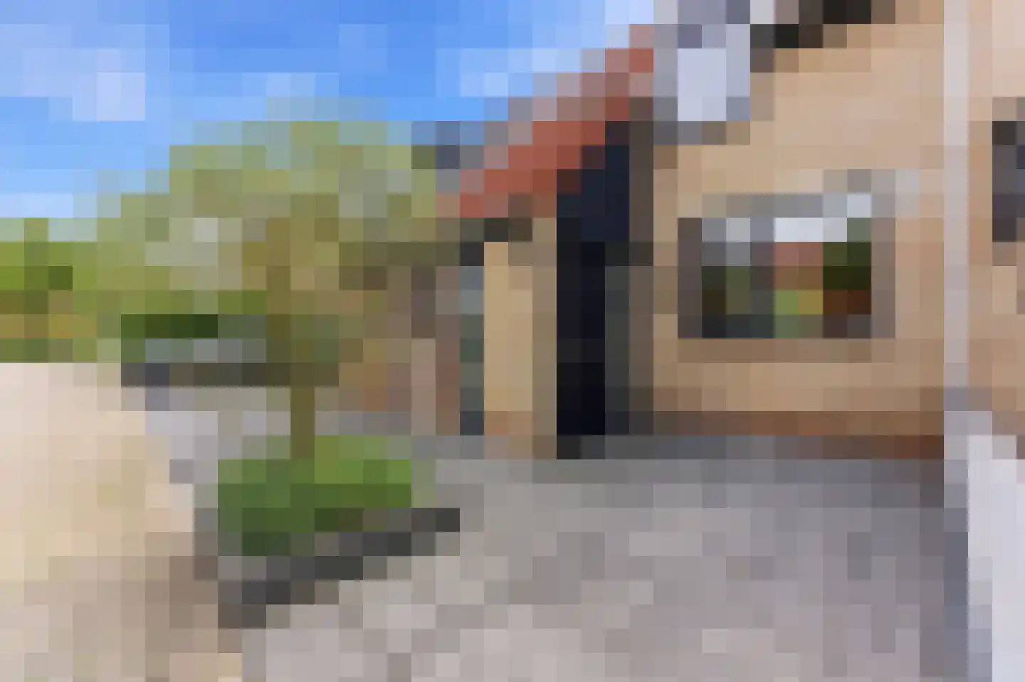 't Hoogt 16 Strijen thumbnail 4