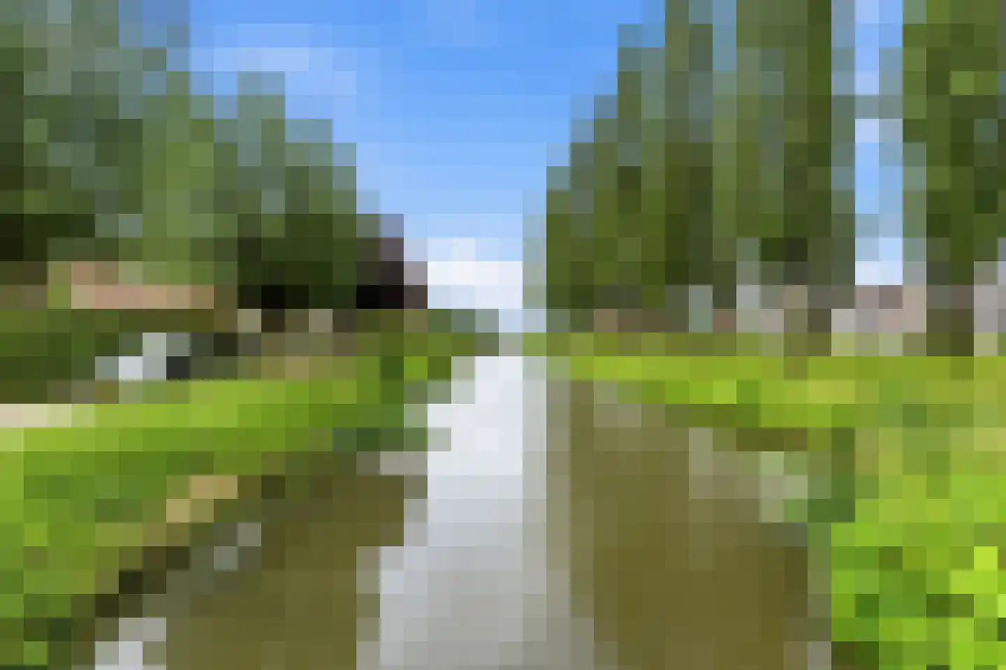 't Hoogt 16 Strijen thumbnail 44
