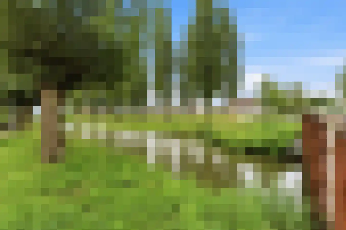 't Hoogt 16 Strijen thumbnail 45