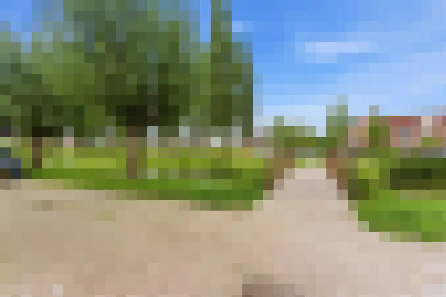 't Hoogt 16 Strijen thumbnail 46