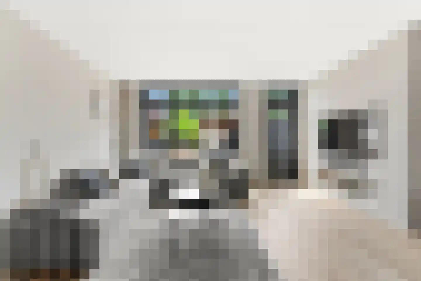 't Hoogt 16 Strijen thumbnail 7