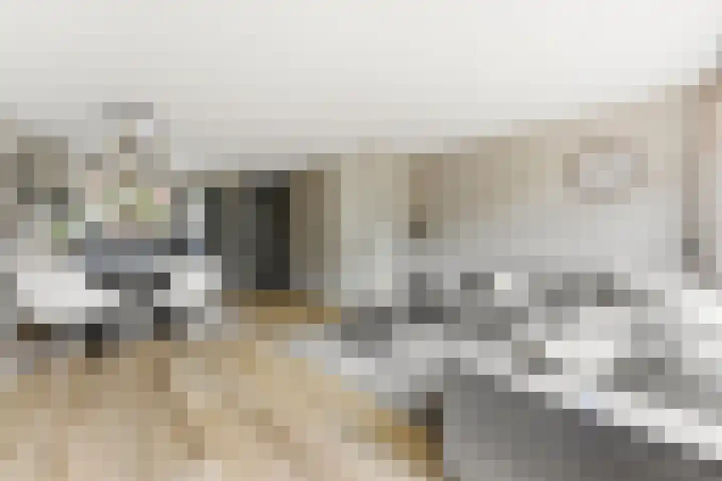't Hoogt 16 Strijen thumbnail 8