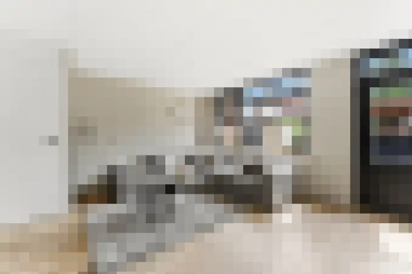 't Hoogt 16 Strijen thumbnail 9