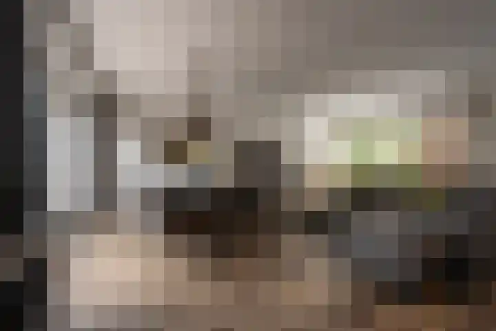 't Hoogt 32 Strijen thumbnail 10