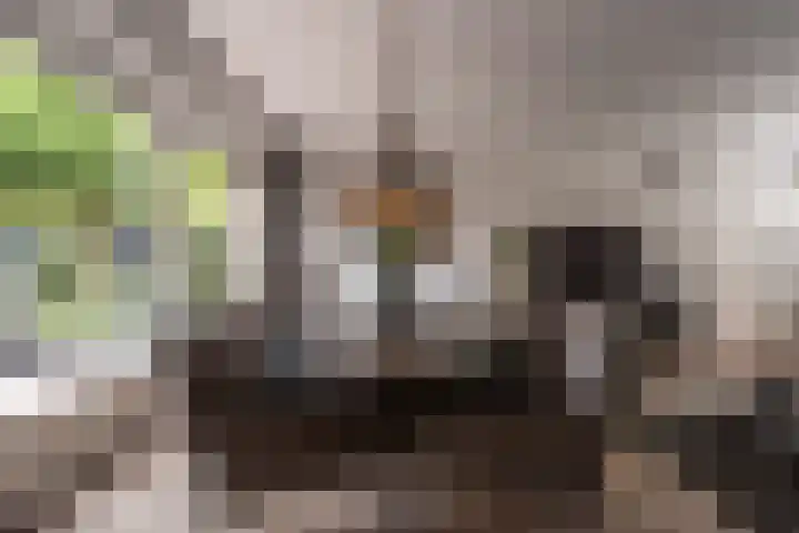't Hoogt 32 Strijen thumbnail 11