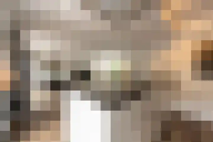 't Hoogt 32 Strijen thumbnail 12